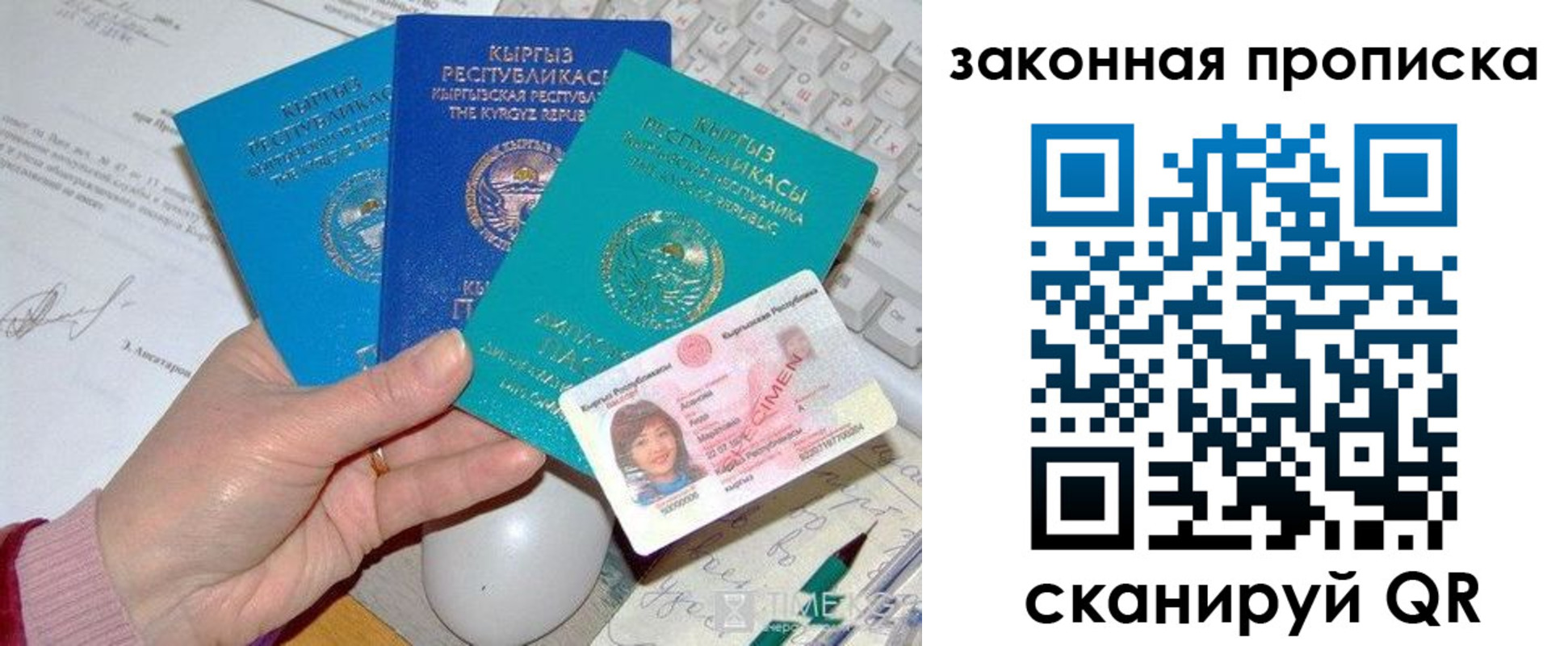 прописка 2025 в Александровске