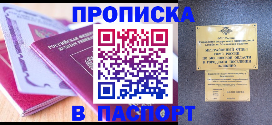 прописка законно в Александровске